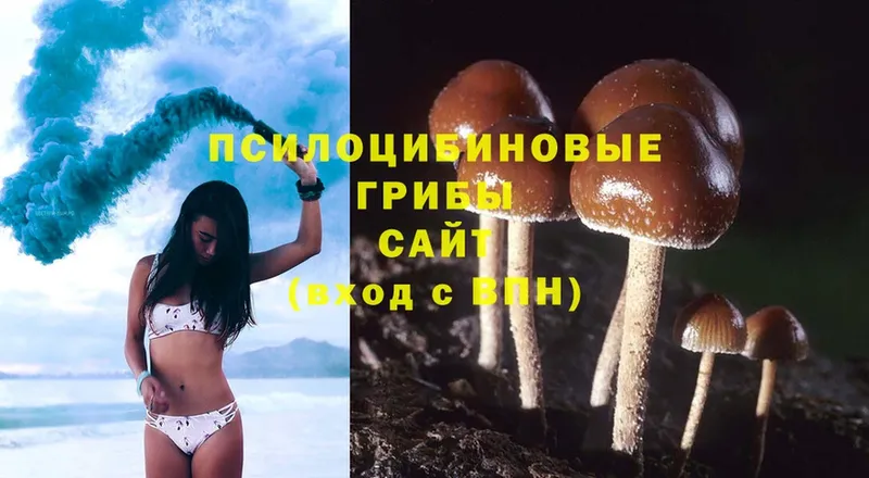 Псилоцибиновые грибы Psilocybine cubensis  Ишимбай 